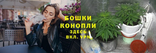 стафф Балахна