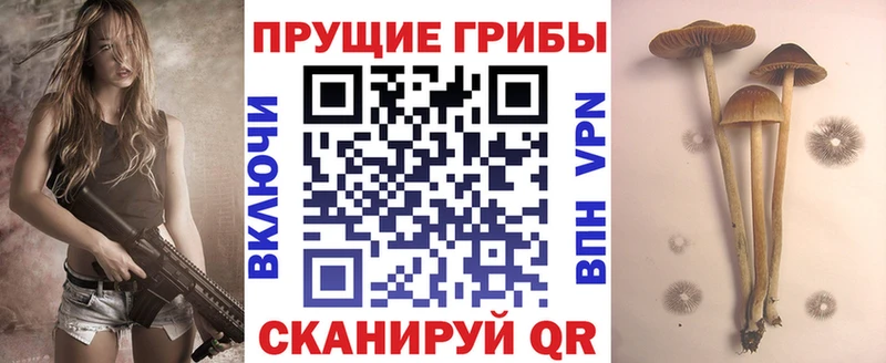 Галлюциногенные грибы мицелий  Купить где  Чекалин 