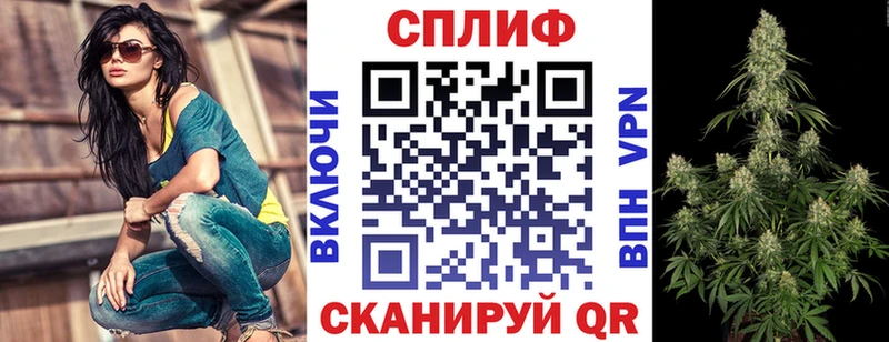 Каннабис конопля  Купить где  Чекалин 